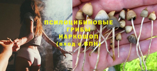 хмурый Россошь